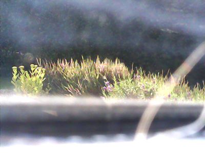 2017-08-06_cam_11-outside.png