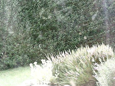 2017-08-06_cam_12-outside.png