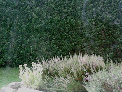 2017-08-06_cam_9-outdoor.png