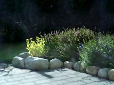 2017-08-06_cam_C-outside1.png