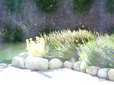 2017-08-06_cam_C-outside2.png