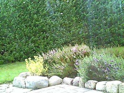 2017-08-06_cam_D-outside.png