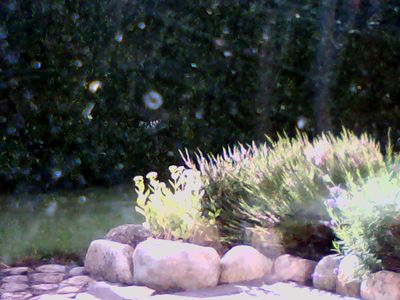 2017-08-06_cam_E-outside.png