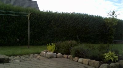 2017-08-06_cam_logitech-outside.png